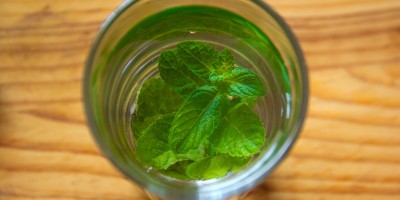 Trattamenti benessere alla menta