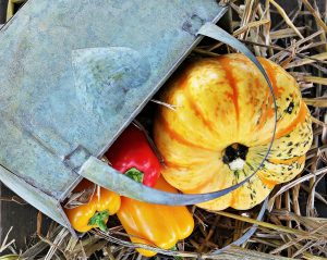 Trattamenti benessere alla Zucca